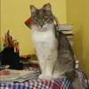 Отзыв от Лидия Усова